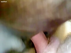 Thumb 1